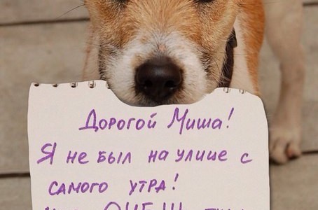 Пишите детям записки! Пишите детям записки!